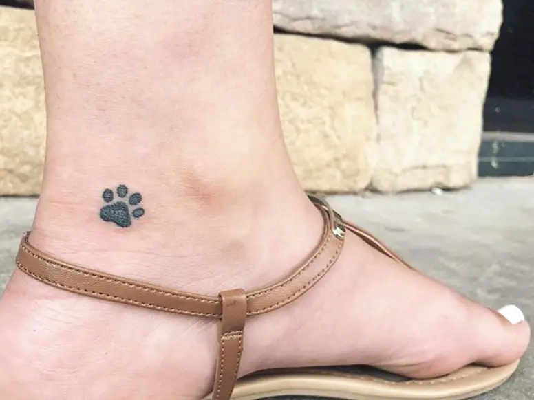small black paw print tattoo on the heel
