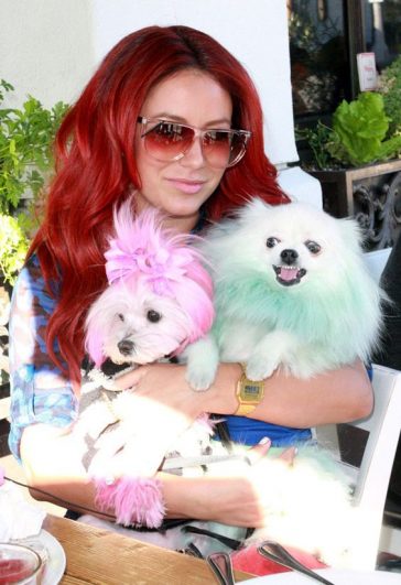 21 Celebrities With Pomeranians | Page 4 of 5 | The Paws
