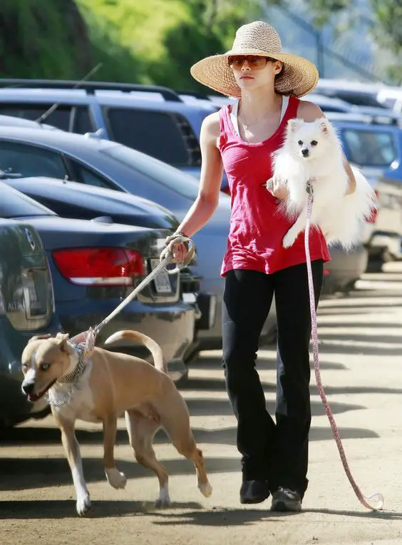 Jenna Dewan walking in the parking lot while carrying her pomeranian