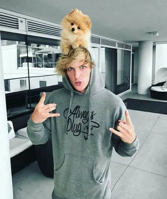 Logan Paul with is pomeranian on top of his head