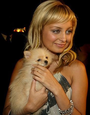 Nicole Richie holding her Pomeranian puppy