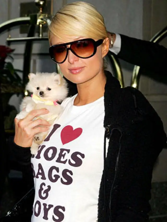 Paris Hilton holding her pomernian puppy