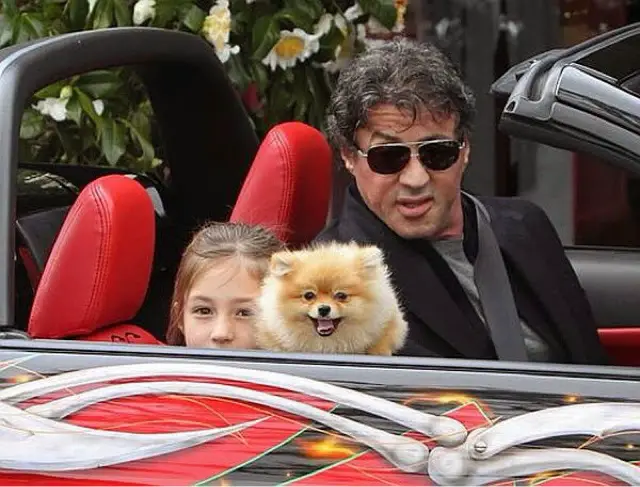 Sylvester Stallone inside the car with a kid carrying her pomeranian