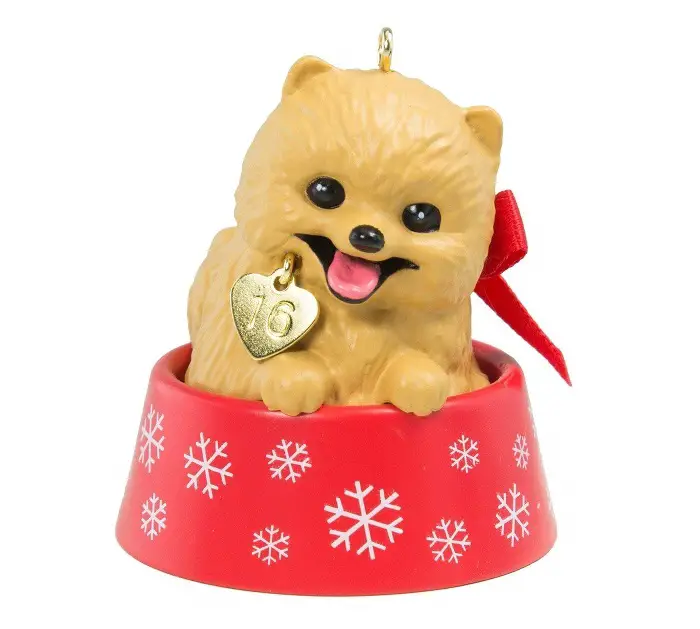 a happy Pomeranian puppy inside a bowl Christmas ornament