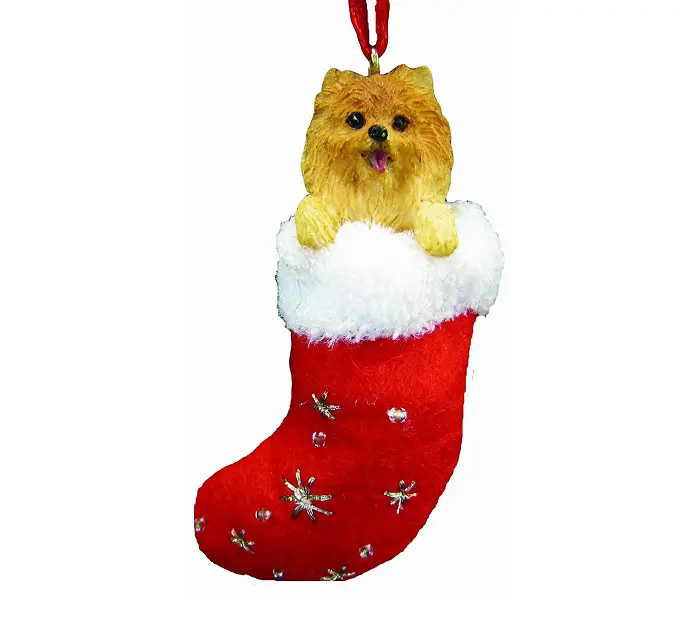 Pomeranian in a christmas sock stocking ornament