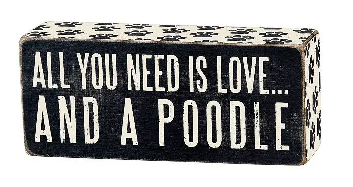 Box sign with a saying - All you need is love... and a poodle