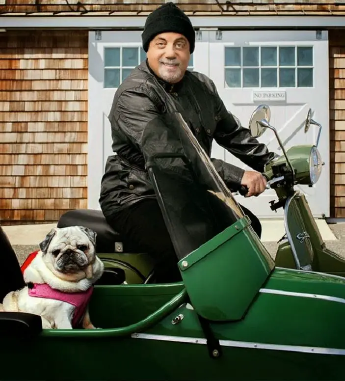 Billy Joel riding its motorcycle beside his pug sitting inside the car
