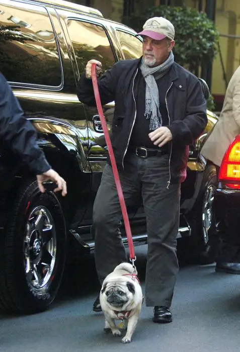 Billy Joel walking in the street with his pug on the leash