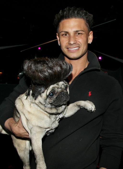 DJ Pauly D carrying his pug wearing a funky wig