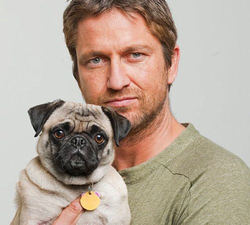 Gerard James Butler holding his pug close to his chest