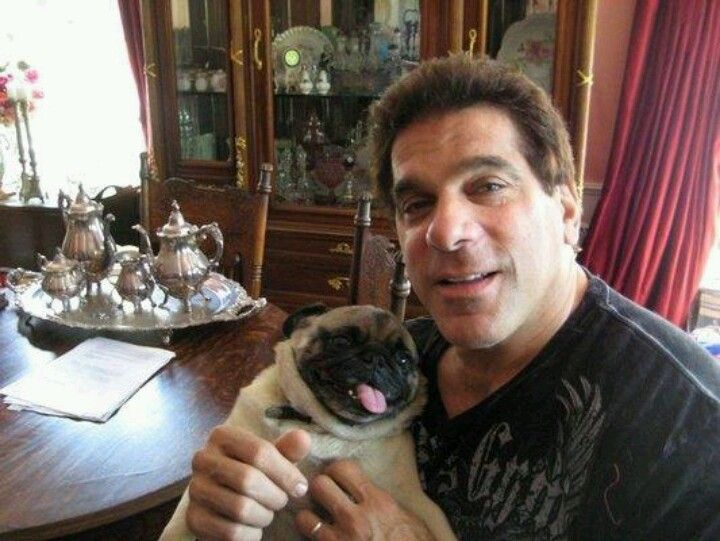 Lou Ferrigno holding his pug