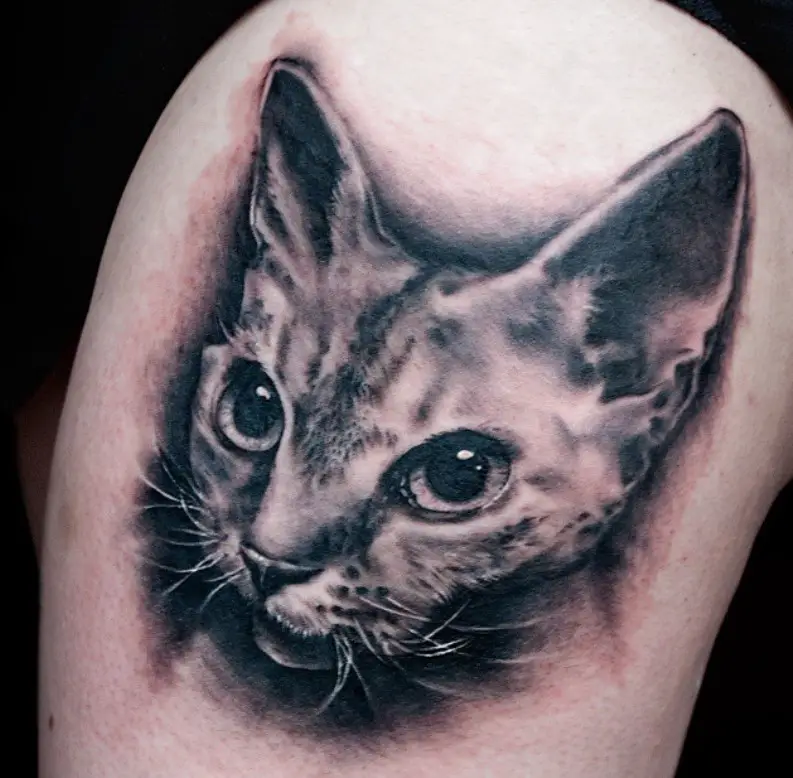 3D Realistic Cat Tattoo