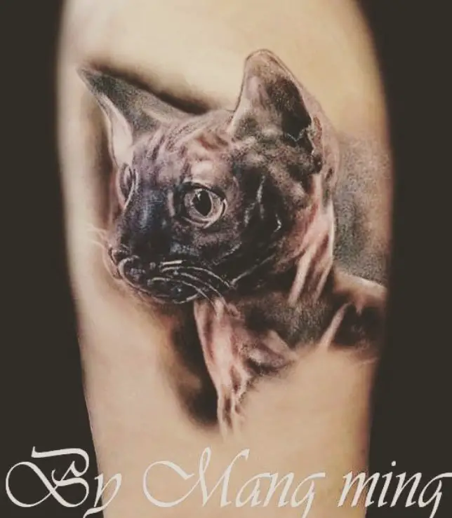 3D face of Realistic Cat Tattoo