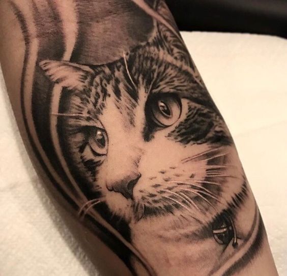 Realistic face of Cat Tattoo on forearm
