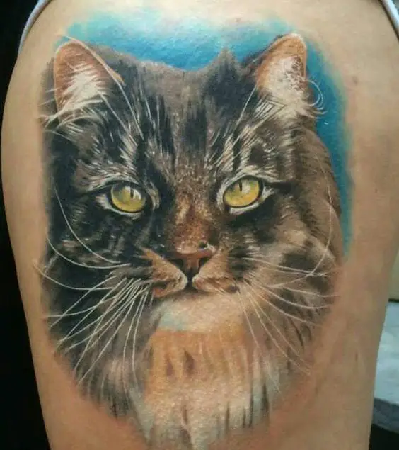 Realistic Cat's face with blue background Tattoo
