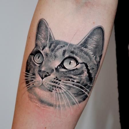 face of Realistic Cat Tattoo on forearm