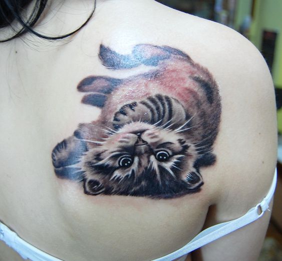Realistic lying on its back Cat Tattoo on the back