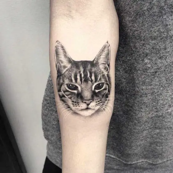 face of Realistic Cat Tattoo on forearm