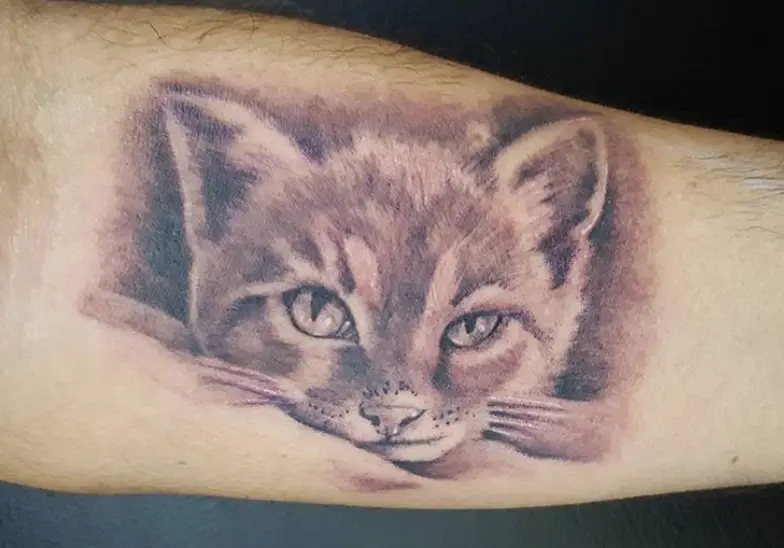 3D face of Realistic Cat Tattoo on forearm