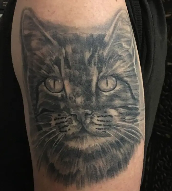 face of Realistic Cat Tattoo on the shoulder