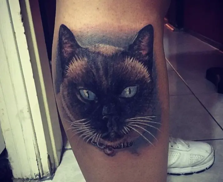 Realistic face of Cat Tattoo on the leg