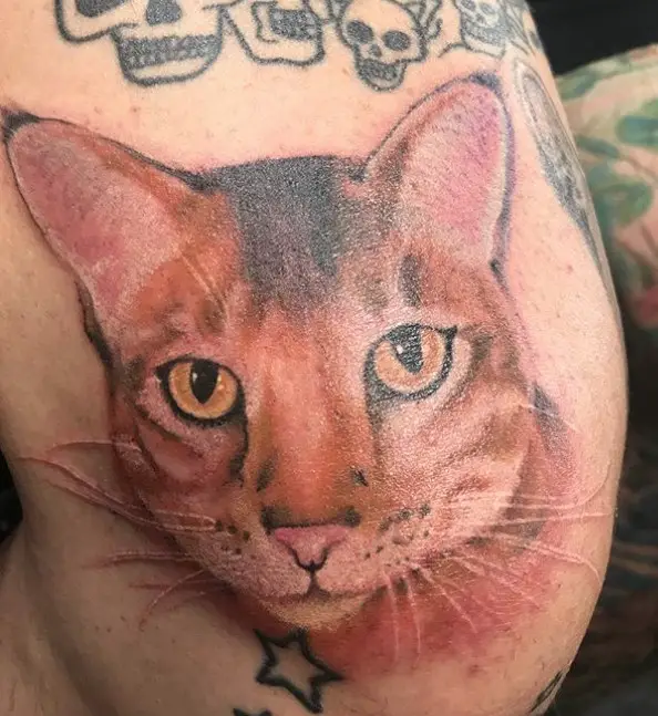 face of red Realistic Cat Tattoo on the upper knee