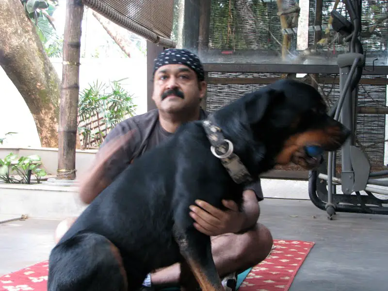 MOHAN LAL sitting on the floor with his Rottweiler
