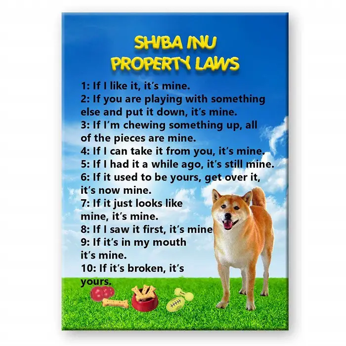 A Fridge Magnet with Shiba Inu Property laws