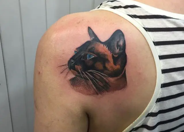 sideview face of a Siamese Cat realistic tattoo on the back