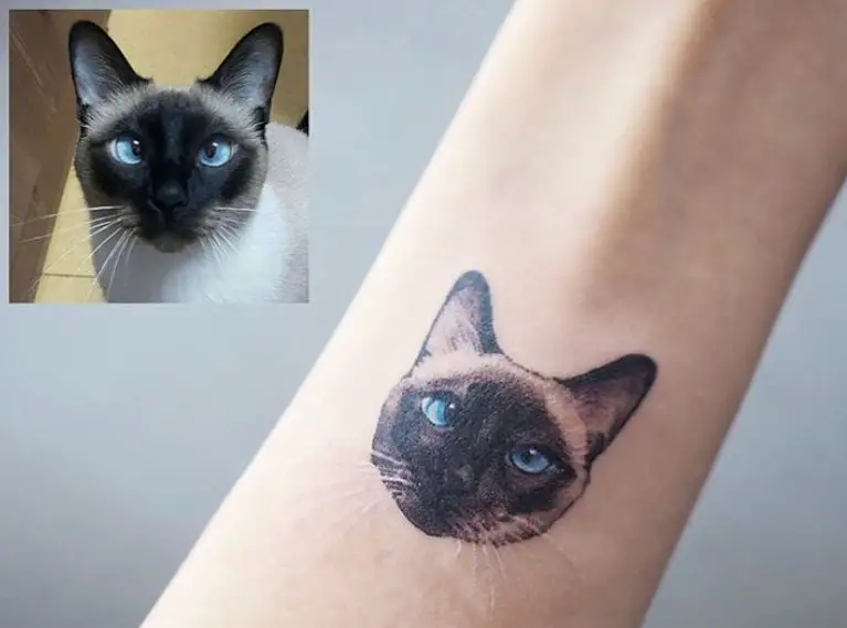 realistic face of a Siamese Cat small tattoo on the forearm
