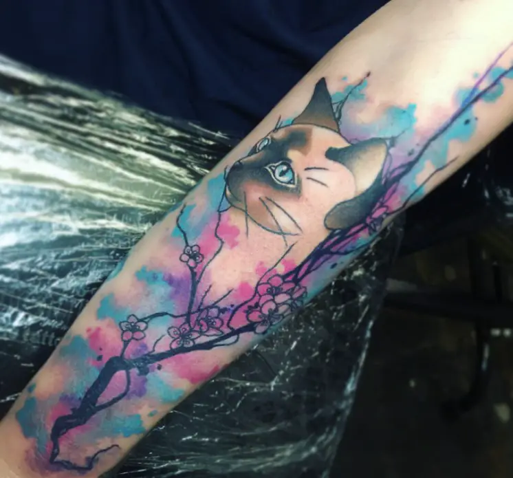sideview head of a Siamese Cat on top of a black tree with flowers and with blue and pink watercolor tattoo on the forearm