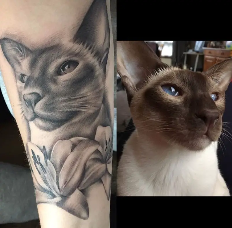 black and gray tattoo of a Siamese Cat's face with flowers on its neck photo next to the photo inspiration