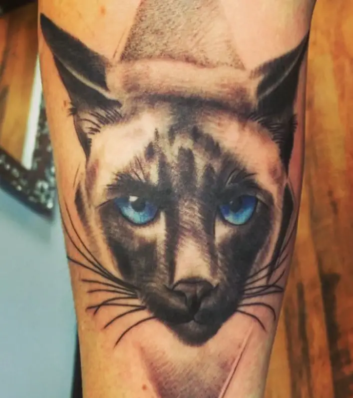 3D face of a Siamese Cat tattoo on the forearm