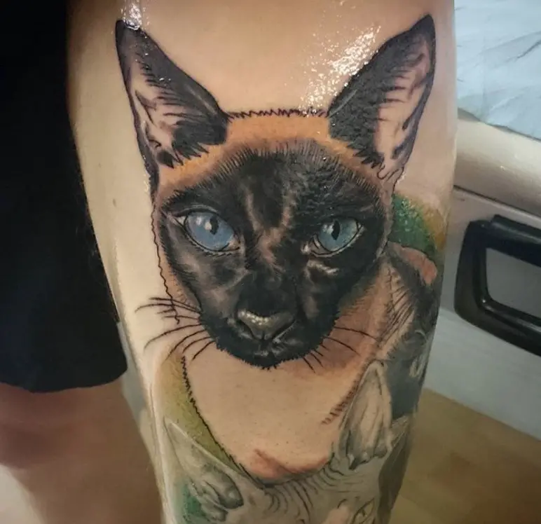 realistic Siamese Cat tattoo on the leg