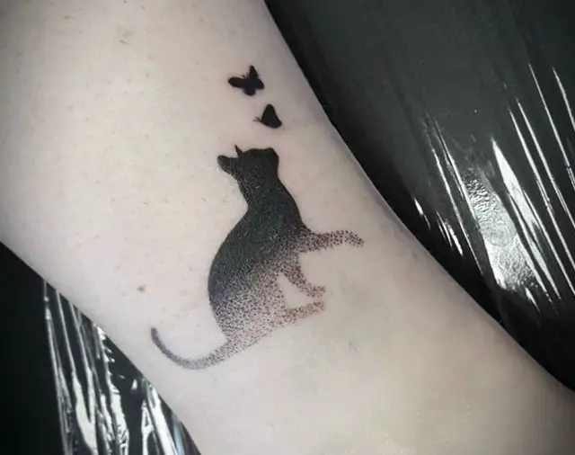 ombre cat with butterfly tattoo on wrist