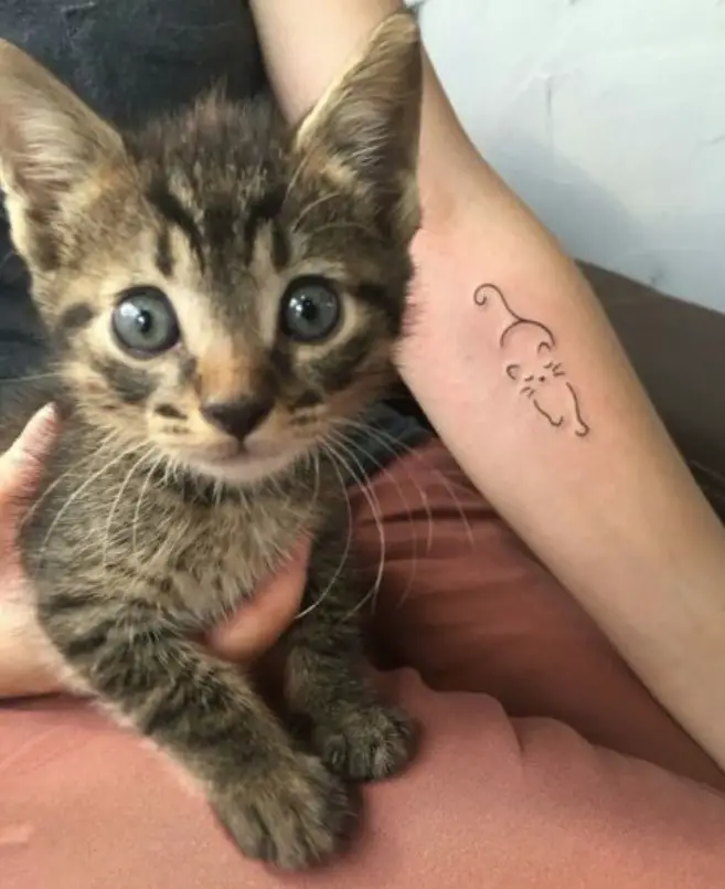 chic cat tattoo on the forearm of a girl with her cat on her other hand