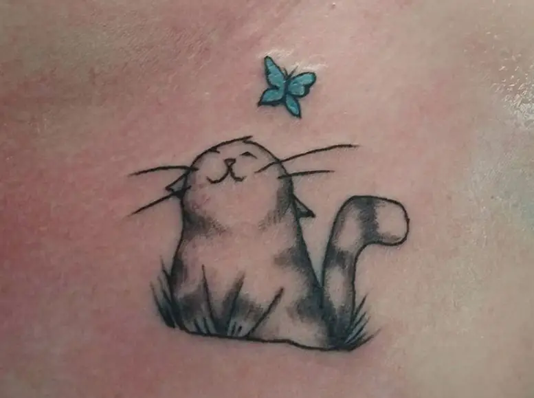 a cat sitting on the grass while looking at the blue butterfly on top of her tattoo