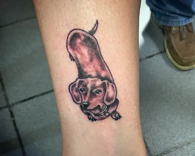 brown Wiener Dog tattoo on the arm