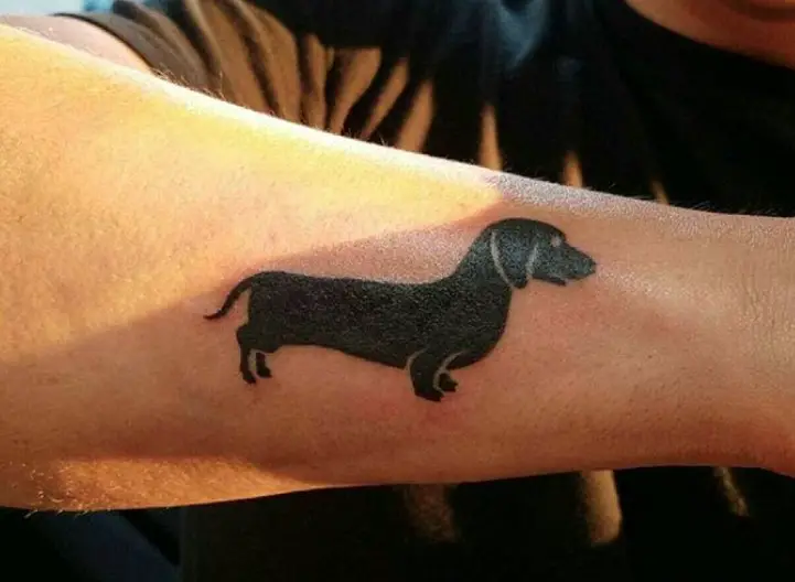 plain back Wiener Dog standing sideways tattoo on the arm