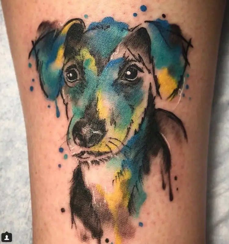 face Wiener Dog with yellow, blue, green and black watercolor tattoo