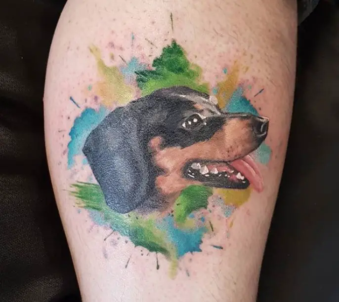 sideview face smiling face of a Wiener Dog with splashes of blue, yellow and green colors in the background tattoo on the leg