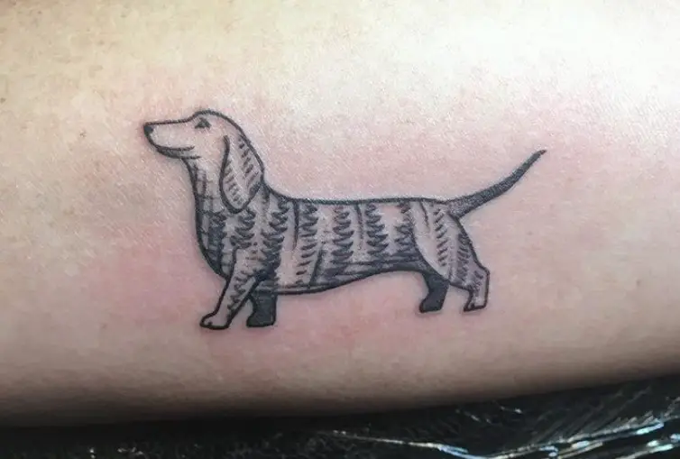 20 Best Wiener Dog Tattoo Designs - The Paws