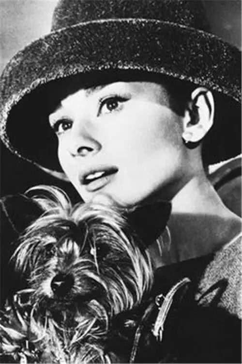 black and white photo of Audrey Hepburn with her Yorkshire Terrier