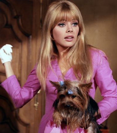 Britt Ekland holding her Yorkshire Terrier