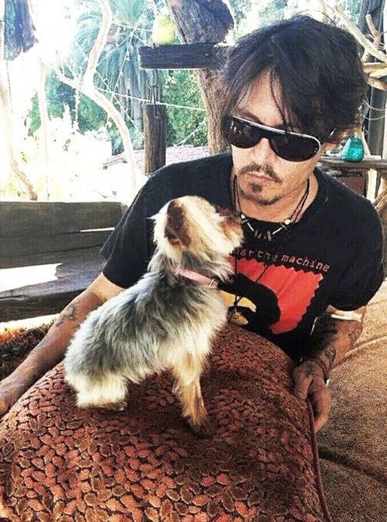 Johnny Depp with his Yorkshire Terrier sitting on top of the pillow in his lap