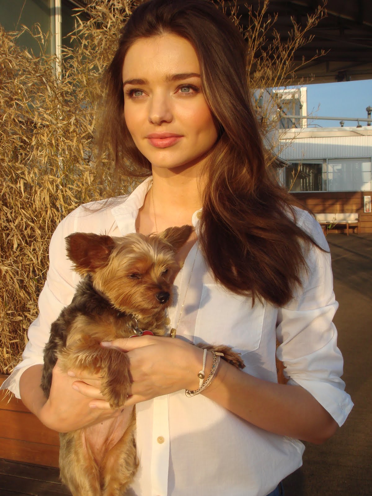 Miranda Kerr holding her Yorkshire Terrier