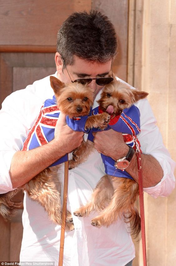 Simon Cowell kissing his two Yorkshire Terrier in their USA sweater