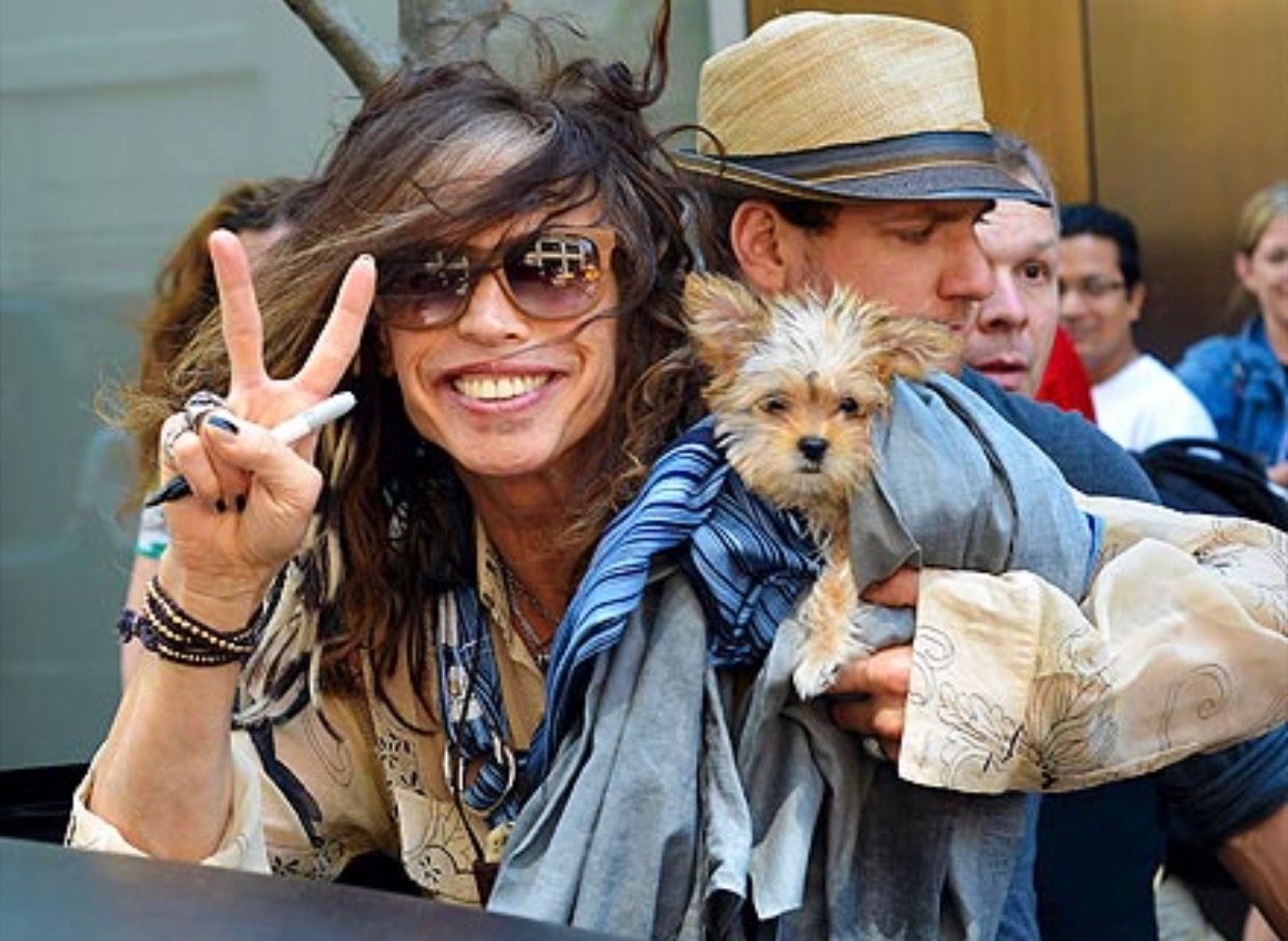 Steven Tyler carrying his Yorkshire Terrier