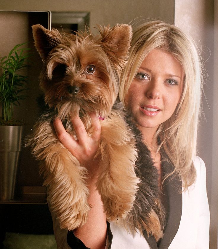 Tara Reid holding up her Yorkshire Terrier