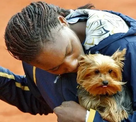 Venus Williams kissing his Yorkshire Terrier on the head while holding him